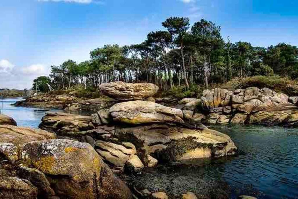 « Bleu Comme Mer » A Deux Pas Des Plages Concarneau Buitenkant foto